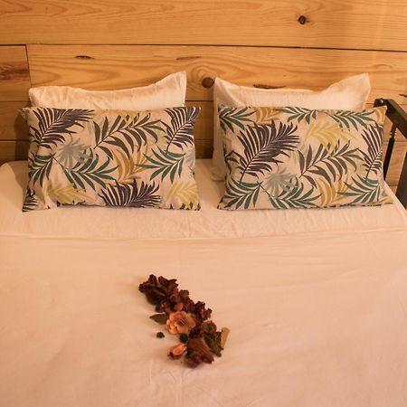 Hostal Erasmus By Gaiarooms Salamanka Exteriér fotografie